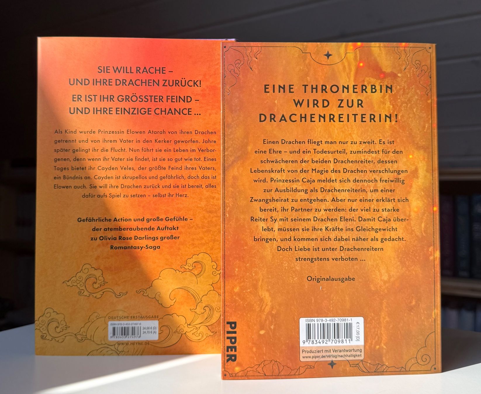 Bücher: Zwei Fantasy Romane "Fear the Flame" und "Bound by Flames" – Neu (gemäss Beschreibung) aus Eichberg von Lolapop18 1