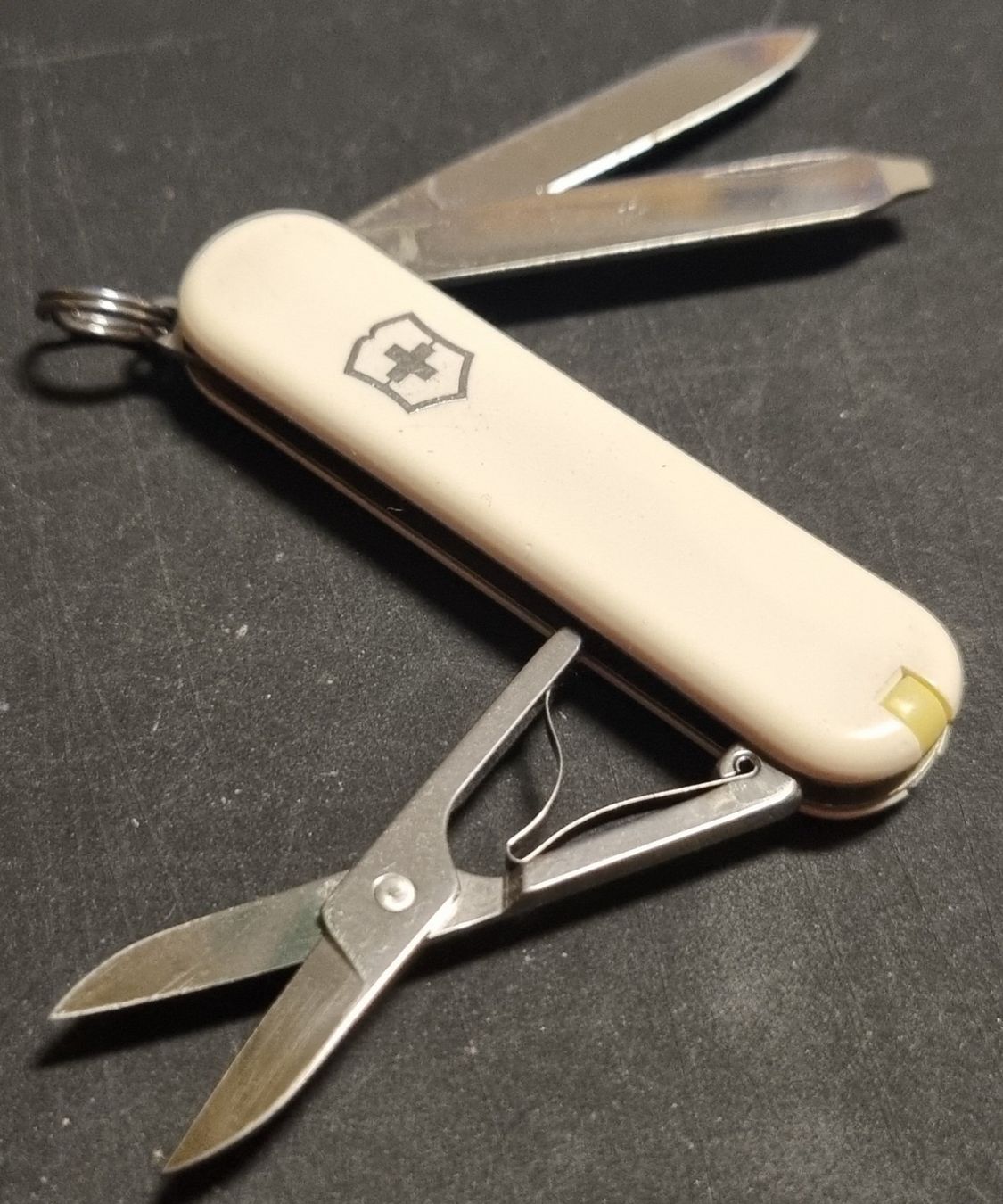 Victorinox Coltelli tascabile: Victorinox Fremont – Usato da Prilly venduto da azm_t9nd 1