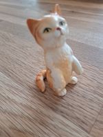 Porzellankatze
