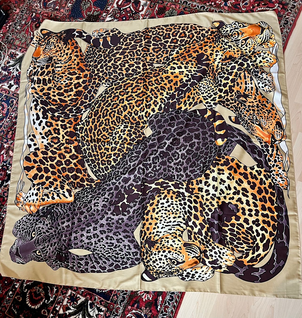 Foulard & Sciarpe: Edler Seidenschal mit Leopardenmuster, neu – Nuovo (secondo la descrizione) da Zürich venduto da Girasole232