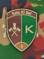 Verbandsabzeichen Kata Hi Bat 4 Kp 2