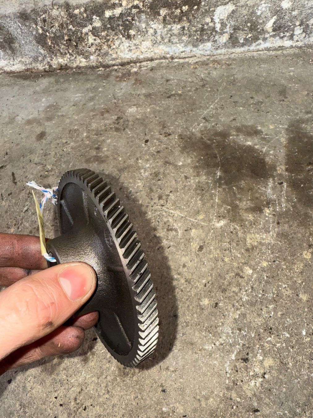 Sachs Parti ricambio per ciclomotori: Sachs 503 Mofa Getrieberad – Usato da Fahrni b. Thun venduto da berger_tuning34 1