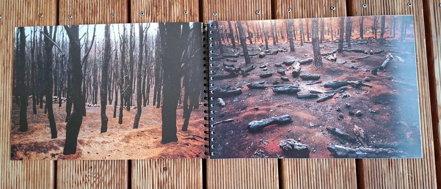 Livres: Oertli Max, Ein Bilder-Buch, Schaffensquerschnitt, div. Inf – D'occasion à St. Gallen par BlauesKreuzSG-App 2