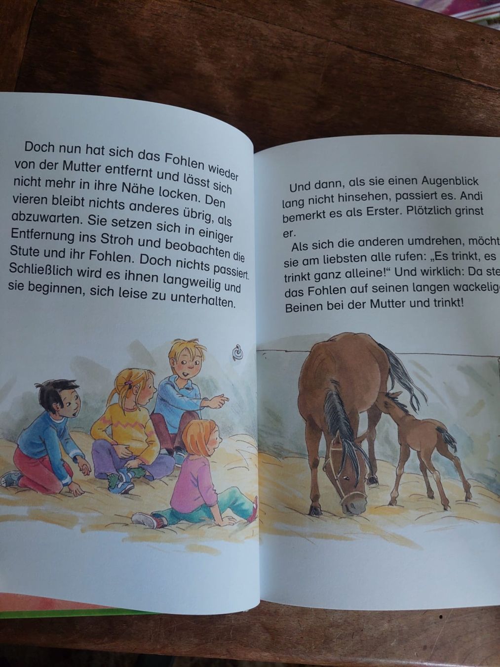 Livres: Pferdeklubgeschichten, Reiterferiengeschichten – D'occasion à Bächli (Hemberg) par Stern015 1