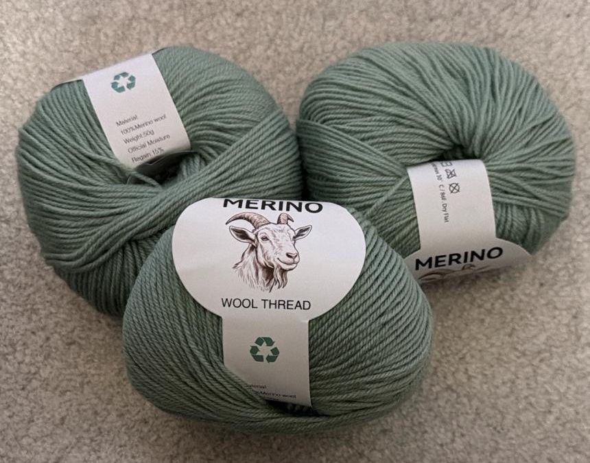 Lana: 600 g mintgrünes Strickgarn – Nuovo e nell'imballaggio originale da Wagenhausen venduto da Kahlen