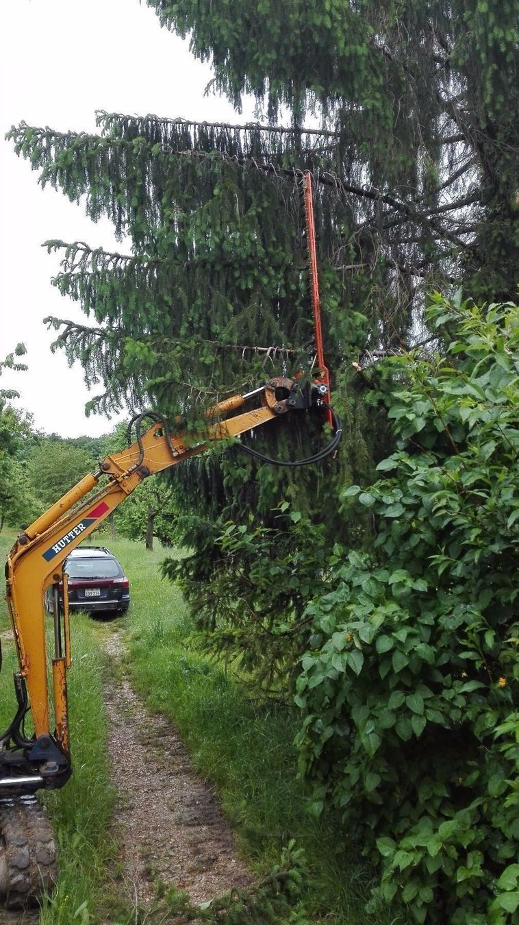Tutti gli attrezzi: Astschere hydraulisch – Nuovo e nell'imballaggio originale da Kastanienbaum venduto da acapulco 2