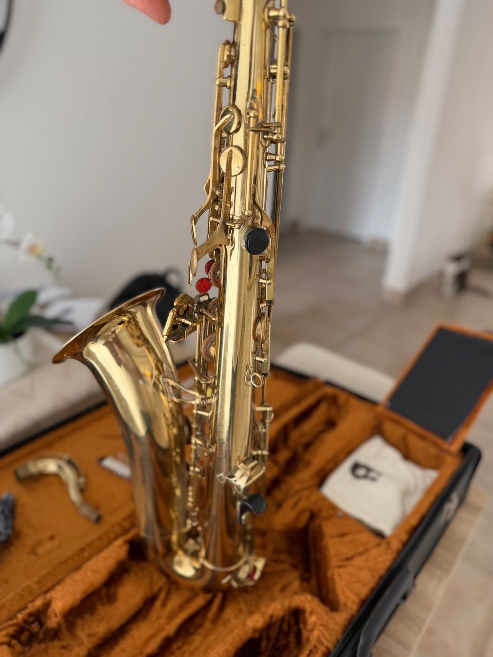 Spannende Saxophon Kaufen Gebraucht Ebenbild