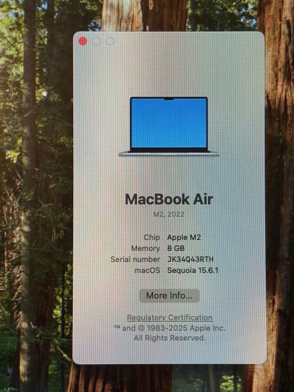 Apple Notebook: MacBook Air 2022, M2, 8GB – Usato da Bern venduto da alen76 3