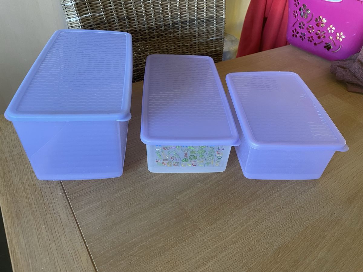 Tupperware Contenitori & Simili: Tupperware Vorratsdose Set  – Usato da Aarau Rohr venduto da keedom 1