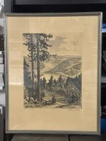 Ferdinand  Dörr - Radierung  - am feldsee