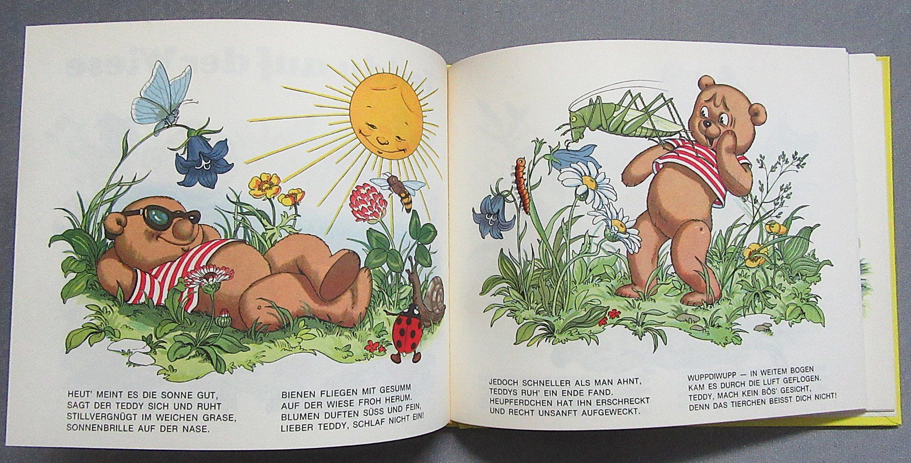 Libri: Teddys Abenteuer - wunderschön illustriert von Anny Hoffmann – Usato da Auenstein venduto da Padabimbim 6