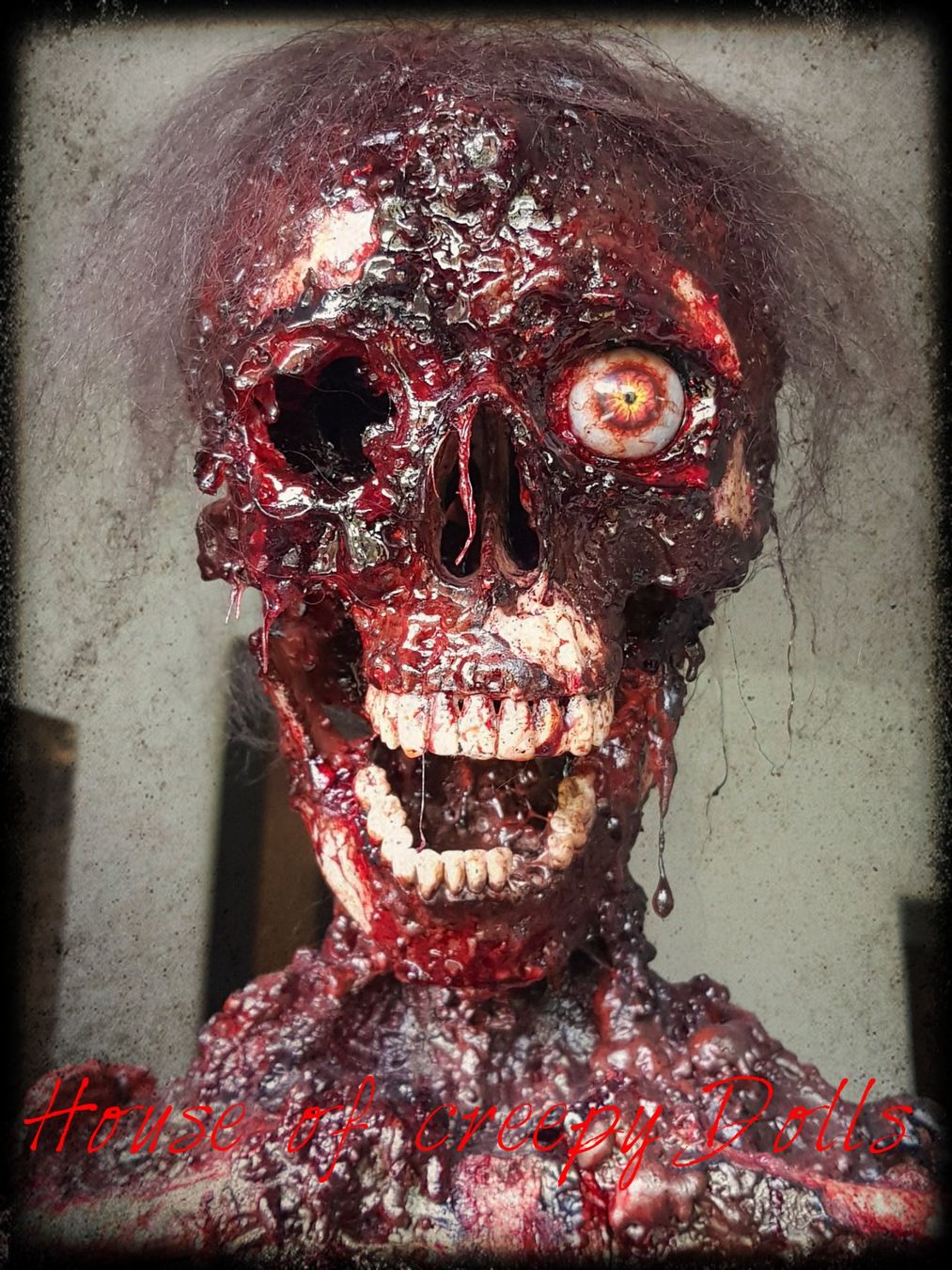 Tutte le decorazioni: HALLOWEEN / HORROR SKELETT FRED – Nuovo e nell'imballaggio originale da Root venduto da LifestyleAccessoires 1