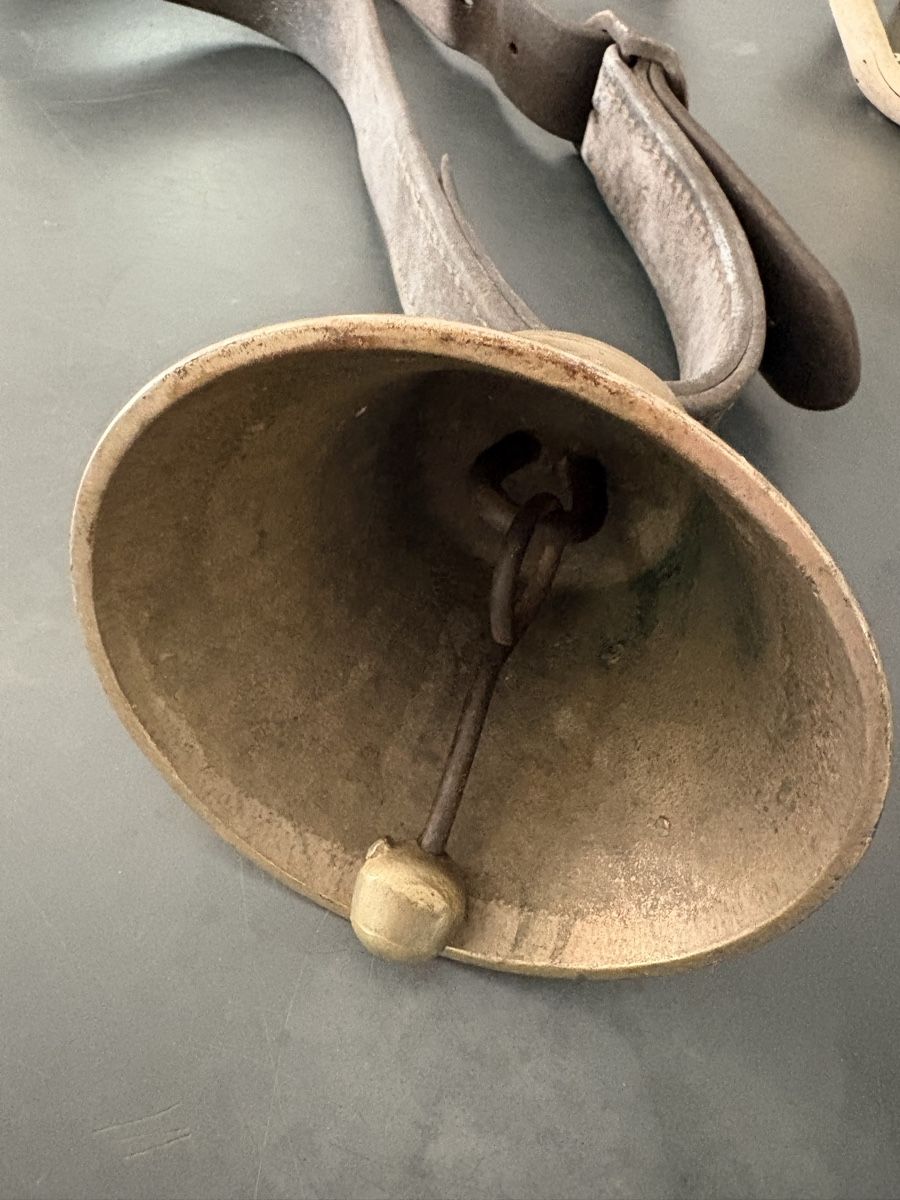 Campanacci mucche: Kuhglocke Messing mit Gesichtsprofil Durchmesser 13 cm – Usato da Embrach venduto da mays 2
