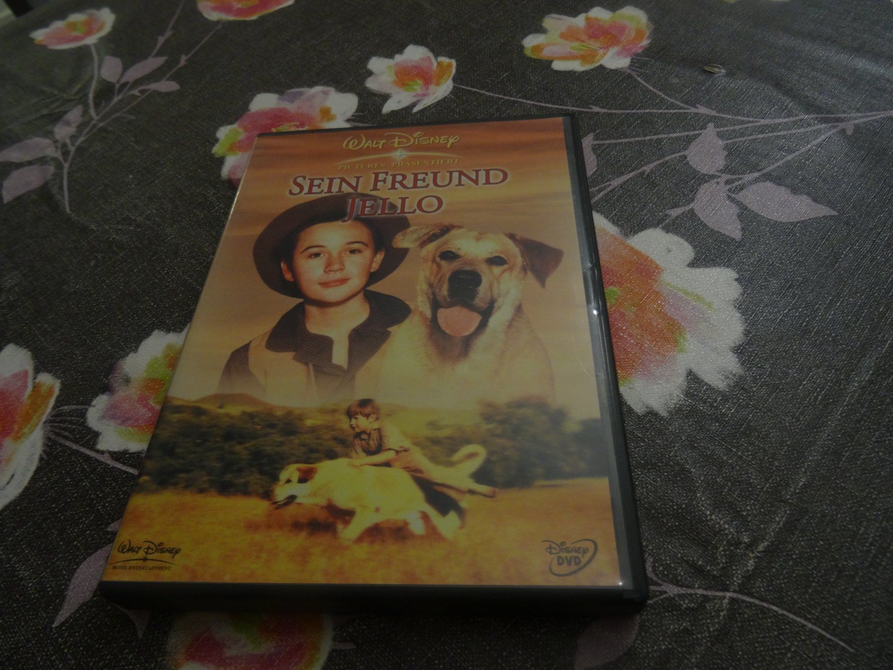 Alle DVDs: Sein Freund Jello DVD – Gebraucht aus Olten von Disc-Verkauf