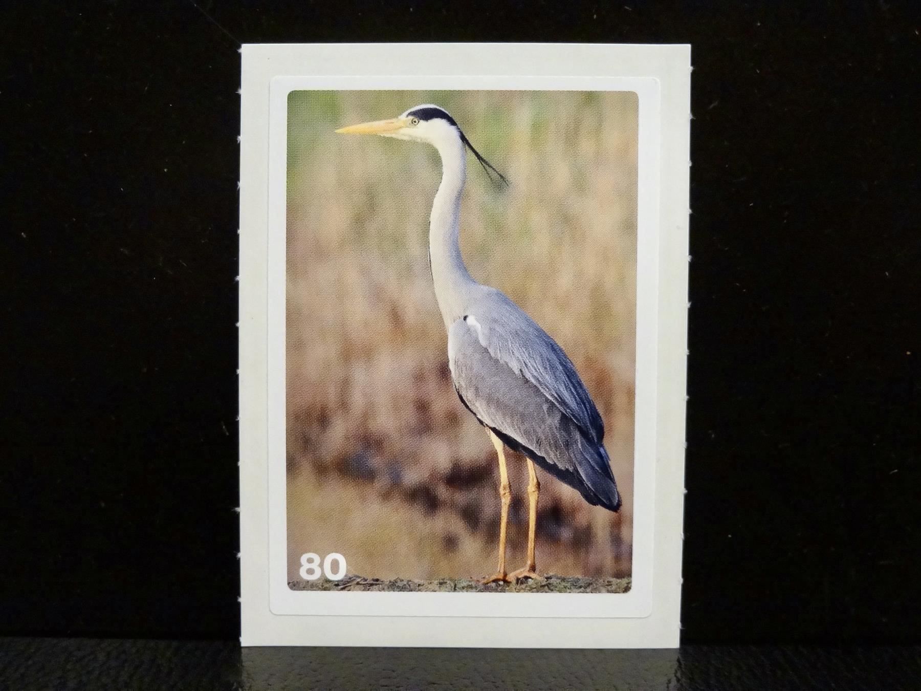 Migros Carte collezionabili: MIGROS MANIA Nature Detectives Nr. 80 – Usato da Kerzers venduto da zimmergruen