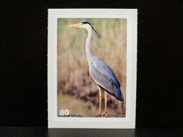 MIGROS MANIA Nature Detectives Nr. 80