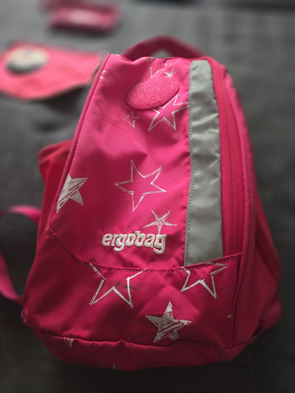 Ergobag Borse & Zaini: ergobag pack SternzauBär Schulrucksack-Set (3-teilig) | Pink – Usato da Schaffhausen venduto da pady1980 2