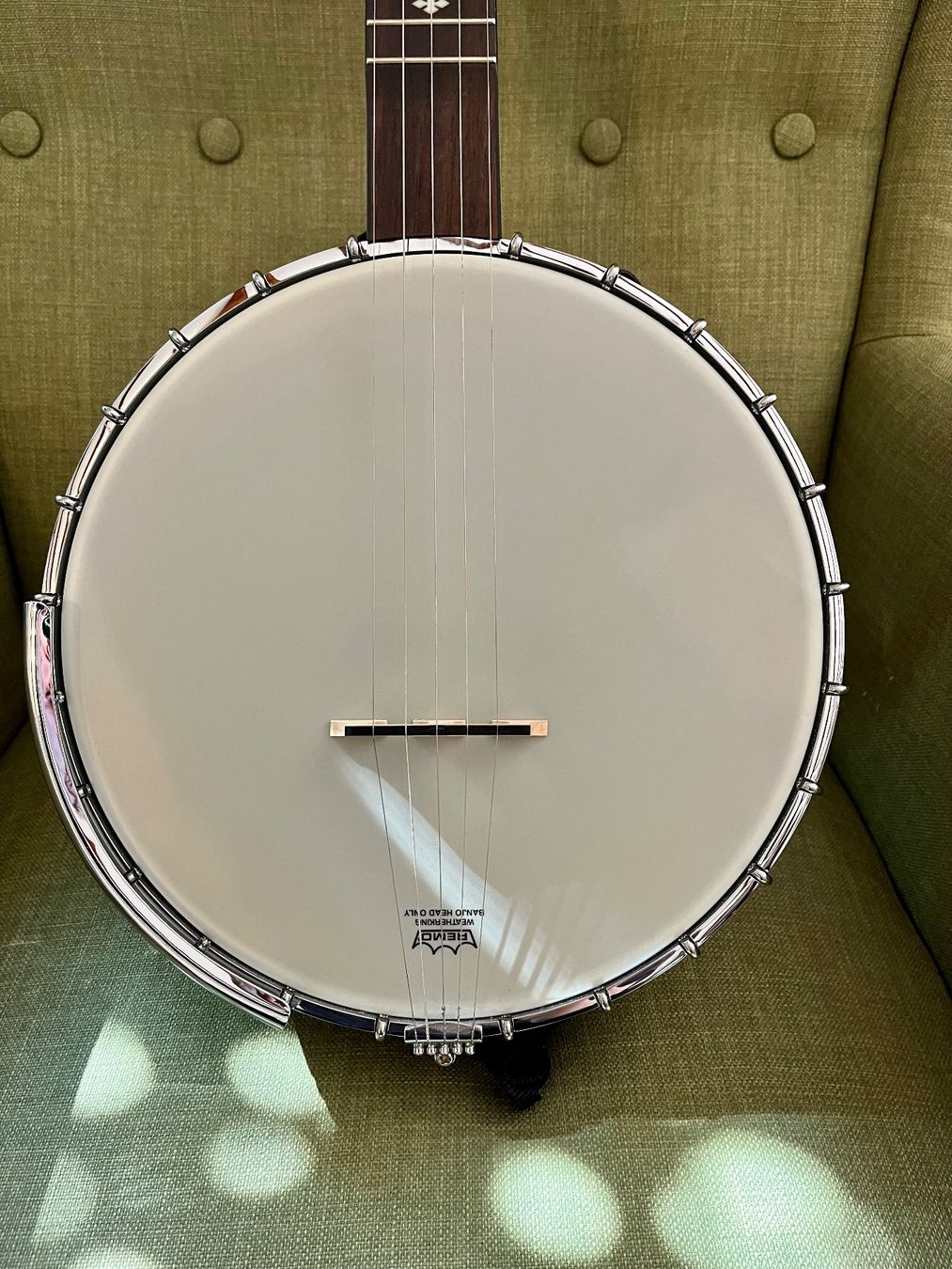 Strumenti musicali: Gold Tone MN-150 LN – Usato da Winterthur venduto da iri_9qr6 3
