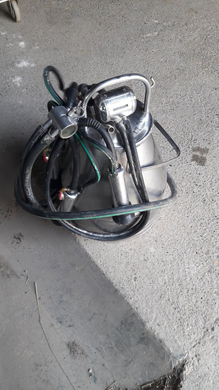 Tutte le macchine: Melkmaschine Westfalia nummer 3 – Usato da Laufen venduto da Mann455 1