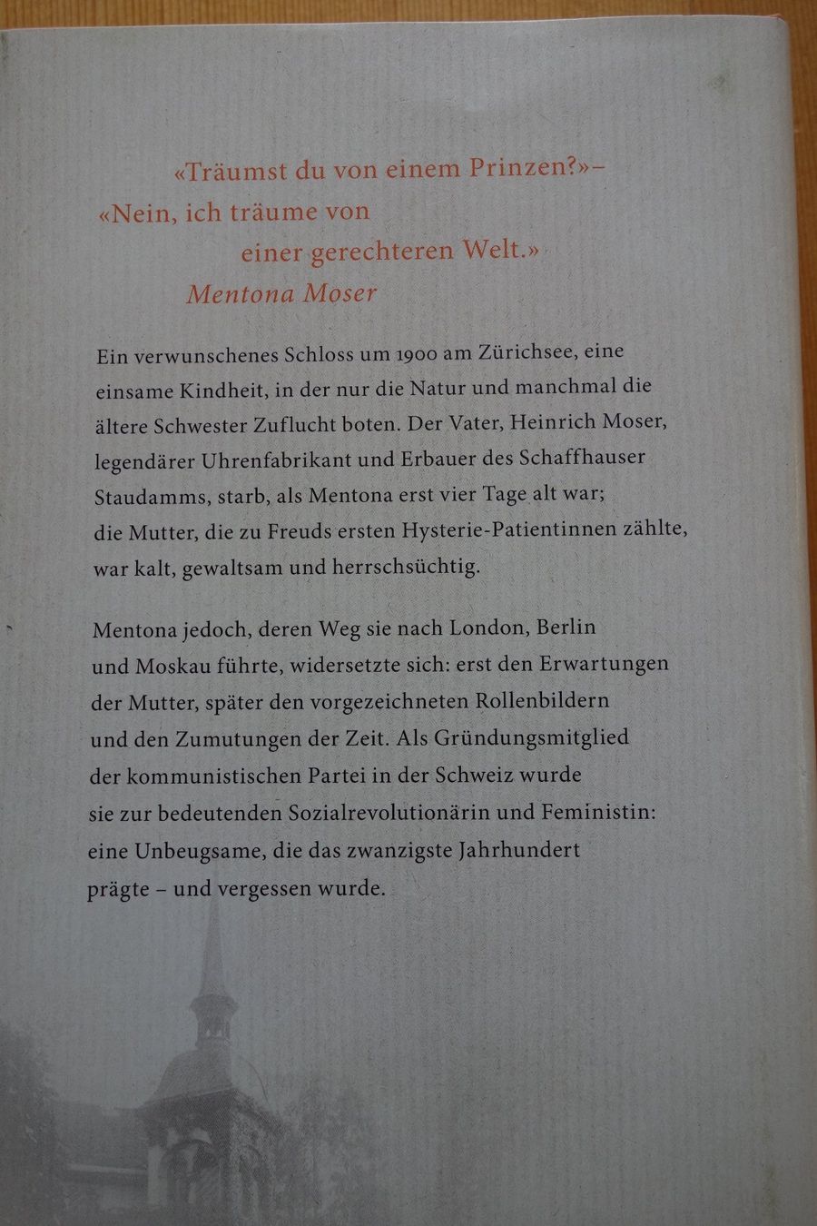 Libri: Tochter des Geldes , Eveline Hasler – Nuovo (secondo la descrizione) da Meiringen venduto da Dunkel1 1