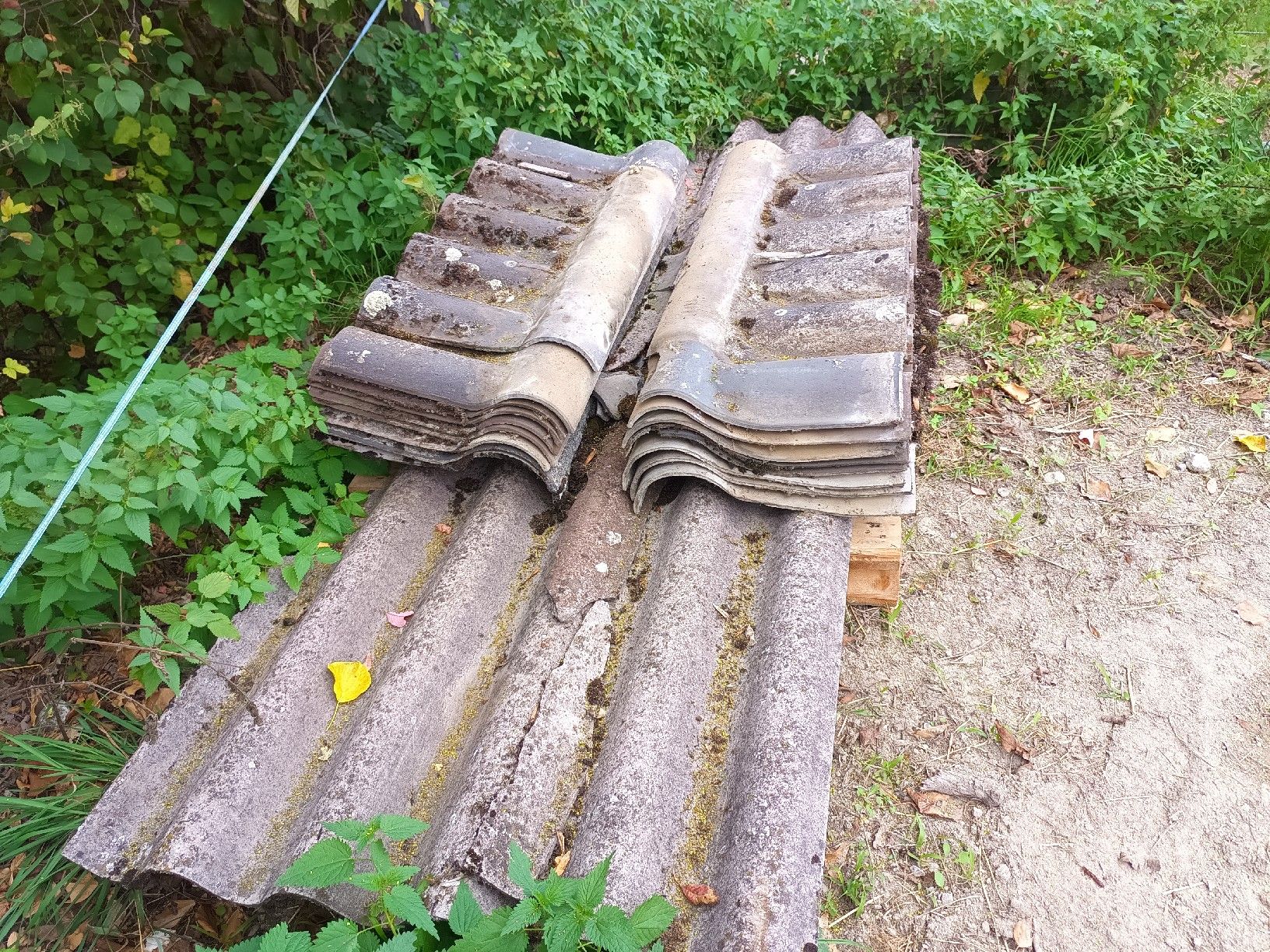 Eternit Piatti di portata: Welleternit Platten  – Usato da Unterkulm venduto da hhhorses