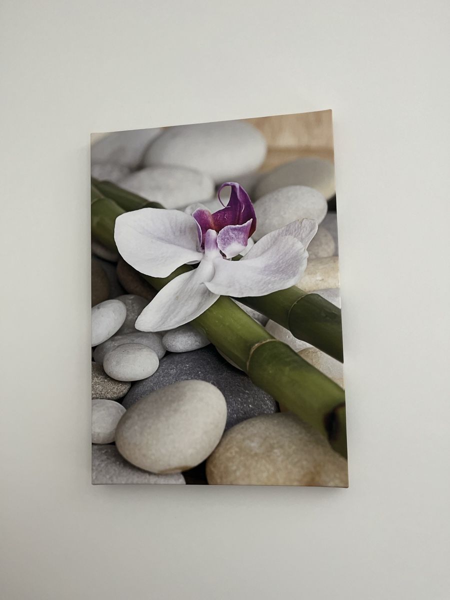 Foto & Immagini: Leinwand Foto Bild Orchidee – Nuovo (secondo la descrizione) da Rotkreuz venduto da rinchee