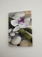 Leinwand Foto Bild Orchidee