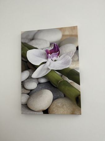 Leinwand Foto Bild Orchidee 