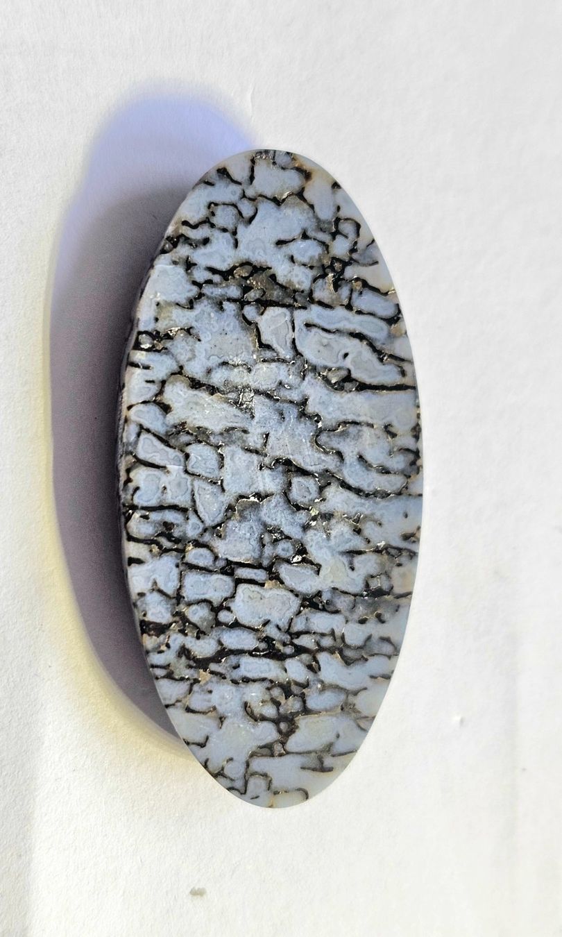 Fossili: Versteinerter Saurierknochen; Cabochon; 32.8 ct. – Nuovo (secondo la descrizione) da Horgen venduto da Agopton 1