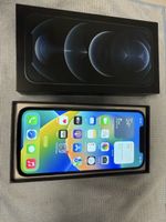 iPhone 12 Pro Max 256 GB