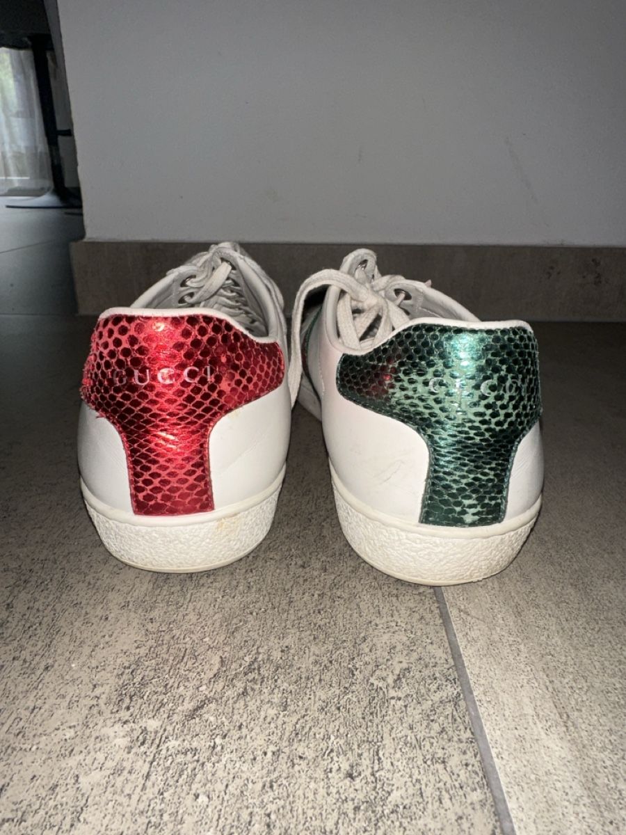 Gucci Scarpe da uomo: Gucci Ace – Usato da Martigny venduto da mar_yt85 1