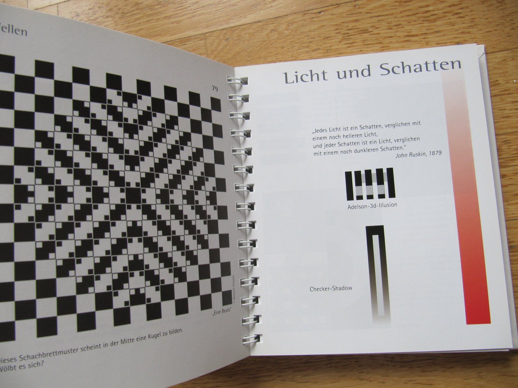 Libri: Optische Täuschungen / Daniel Picon – Nuovo (secondo la descrizione) da Würenlos venduto da AustralisZ 5