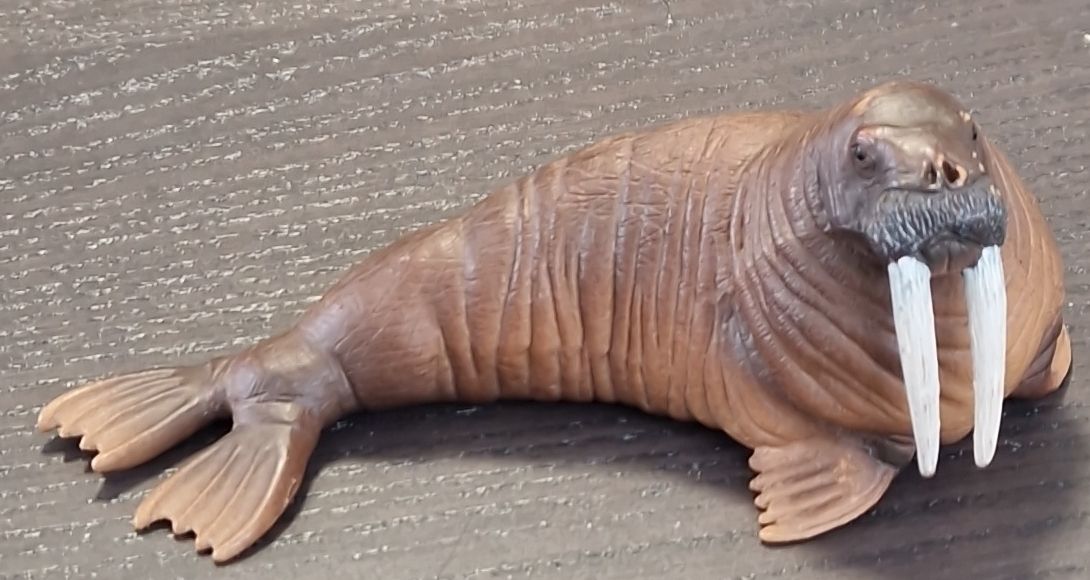 Schleich Statuette: Schleich Walross Figur braun gebraucht – Usato da Münchwilen TG venduto da schnatterinchen116