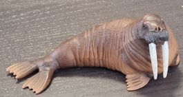 Schleich Walross Figur braun gebraucht