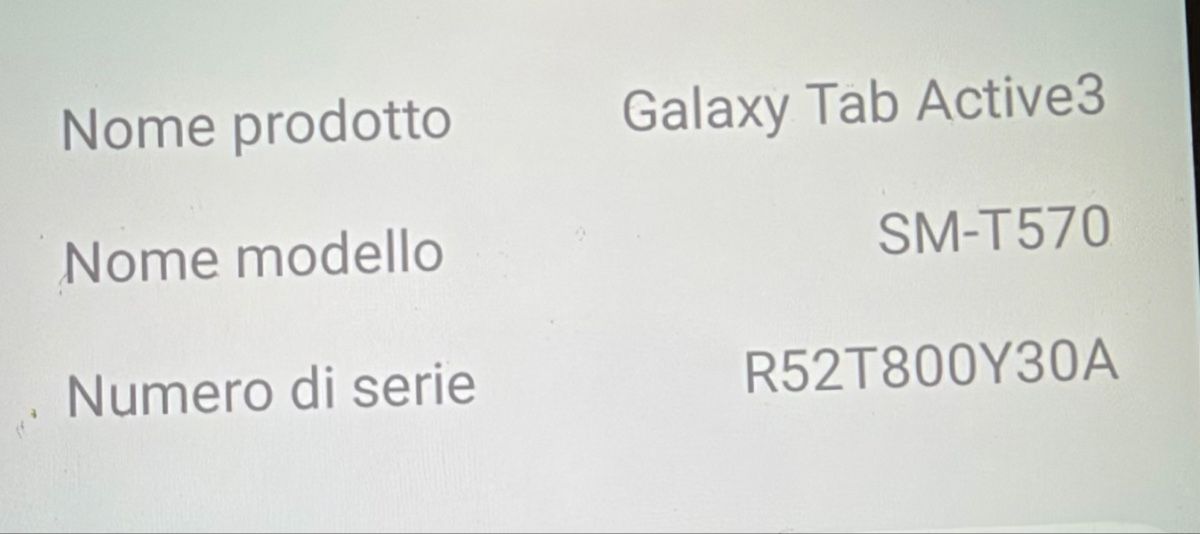 Samsung Tablet PC: Samsung Galaxy Tab Active3 – Usato da Locarno venduto da Sim229 2