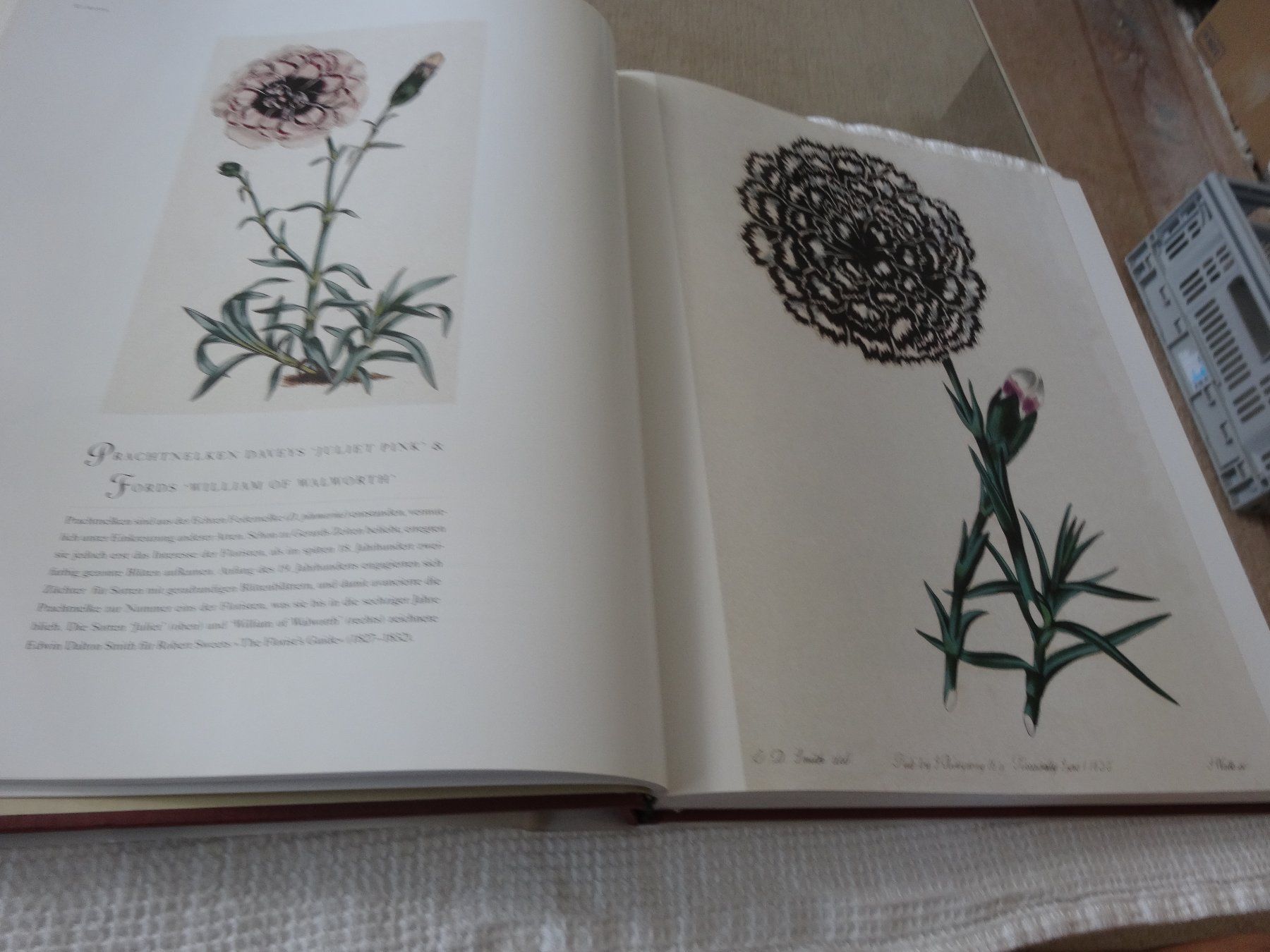 Libri: Flora  Der Duft der Ferne Brent Elliott – Usato da Neerach venduto da jenny062 5