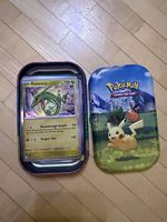 50 Pokémon Karten in Sammelbox