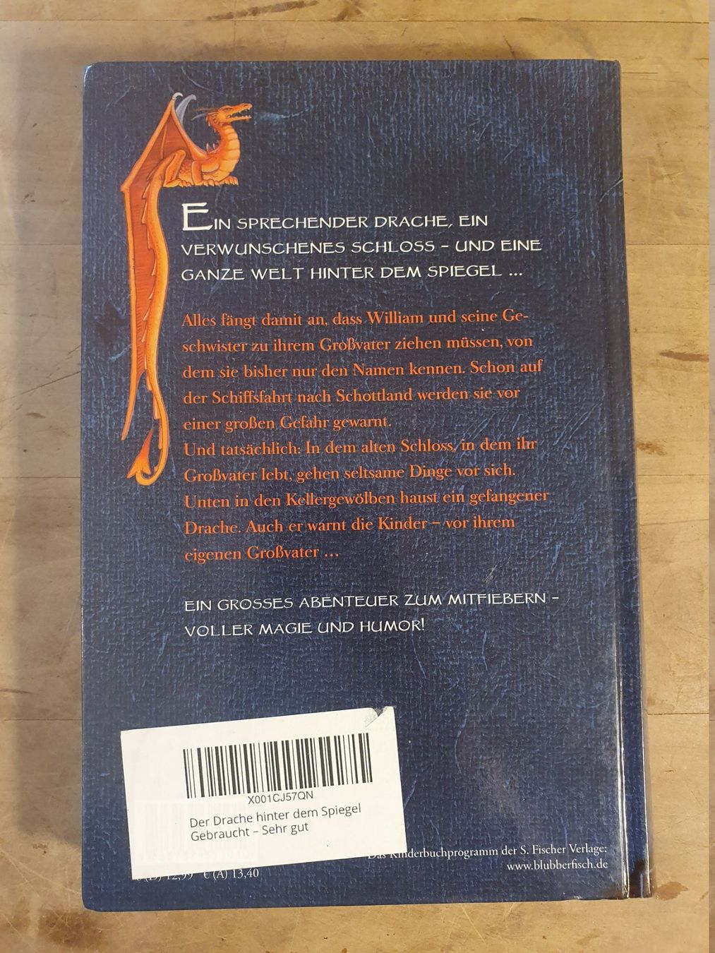 Libri: Der Drache hinter dem Spiegel Ivo Pala Sauerländer – Usato da Zürich venduto da loosebone 3