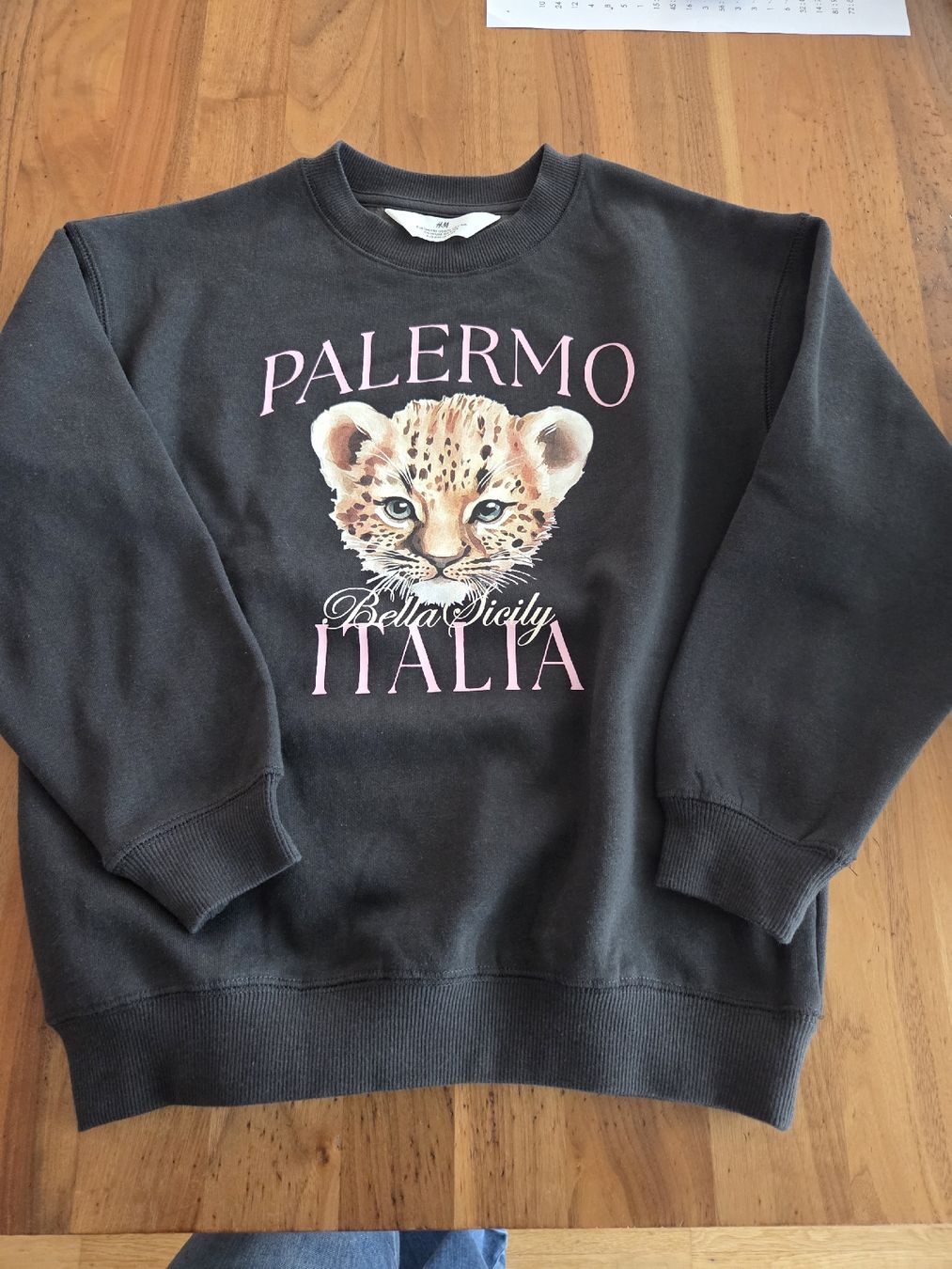 H&M Maglioni & Felpe: Pullover Gr. 134/140 – Nuovo (secondo la descrizione) da Root venduto da Melissa011113