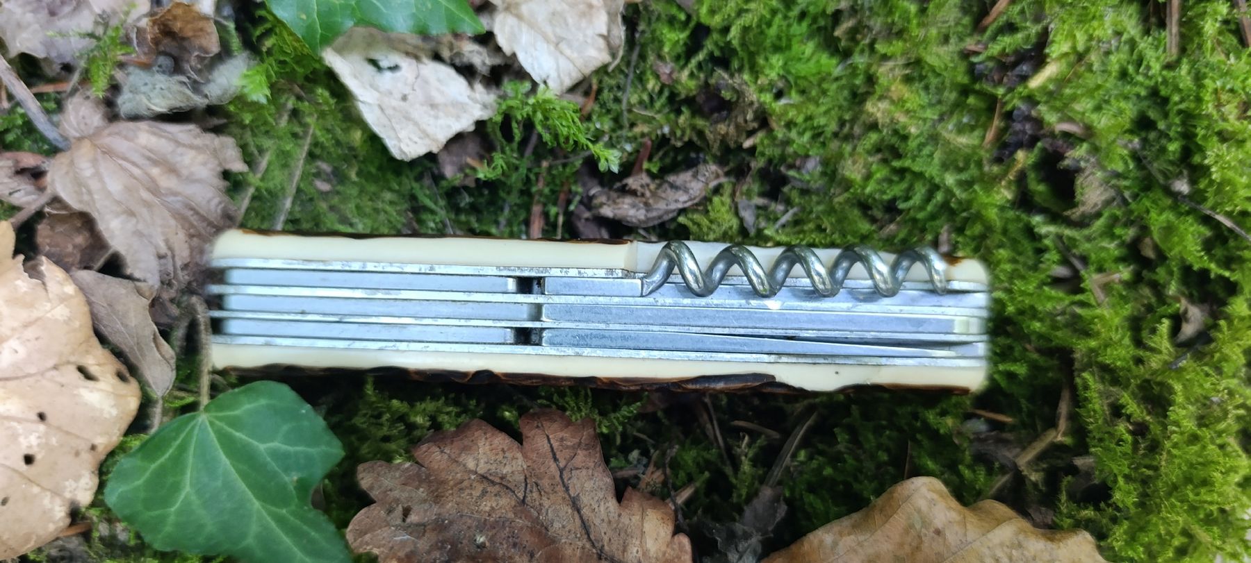 Victorinox Coltelli tascabile: Victorinox Taschenmesser  – Usato da Oppligen venduto da can_rf8g 6