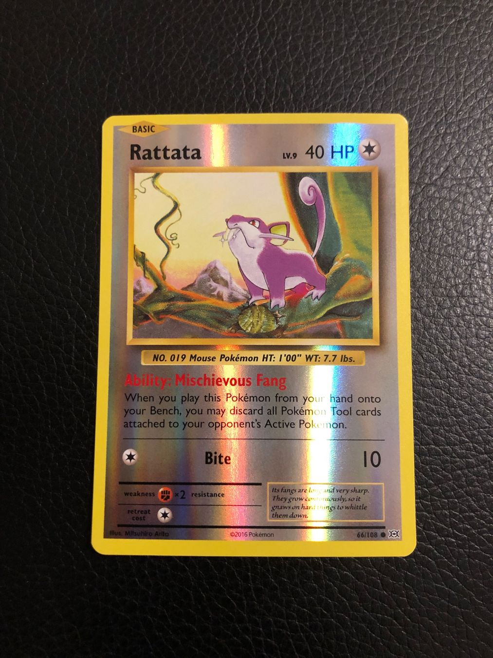 Pokémon Carte collezionabili: Evolutions Rattata reverse 66/108 NM Ab 1 – Usato da Paradiso venduto da Pkmn10