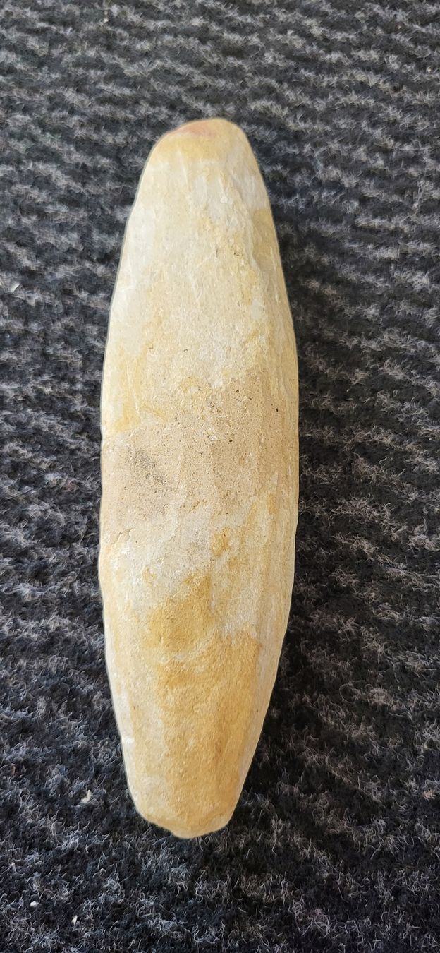 Fossili: Fossiler Fisch – Usato da Degersheim venduto da Sonnenbiene55 5