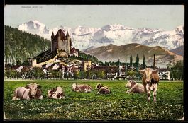 AK Thun, Schloss und Alpen