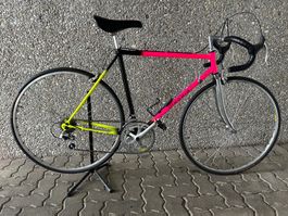 Mondia Rennvelo