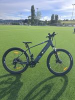 E-Mountainbike für ein Schnäppchen!!