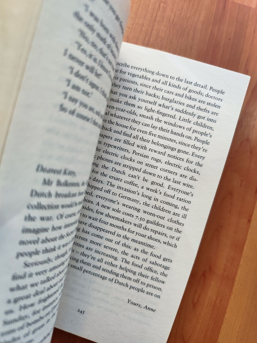 Libri: Anne Frank's Diary - The Definitive Edition – Usato da Mägenwil venduto da VintageGirly 6