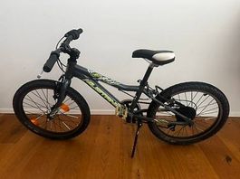 Mustang Jumper Kindervelo 20", grau mit Gangschaltung