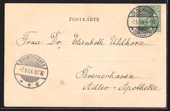 Cartoline postali: Grusskarten-AK Oldenburg / O., Amalinebr – Usato da Berlin venduto da bartko-reher 1