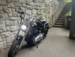 Windschild für Harley-Davidson NEUWERTIG!! 