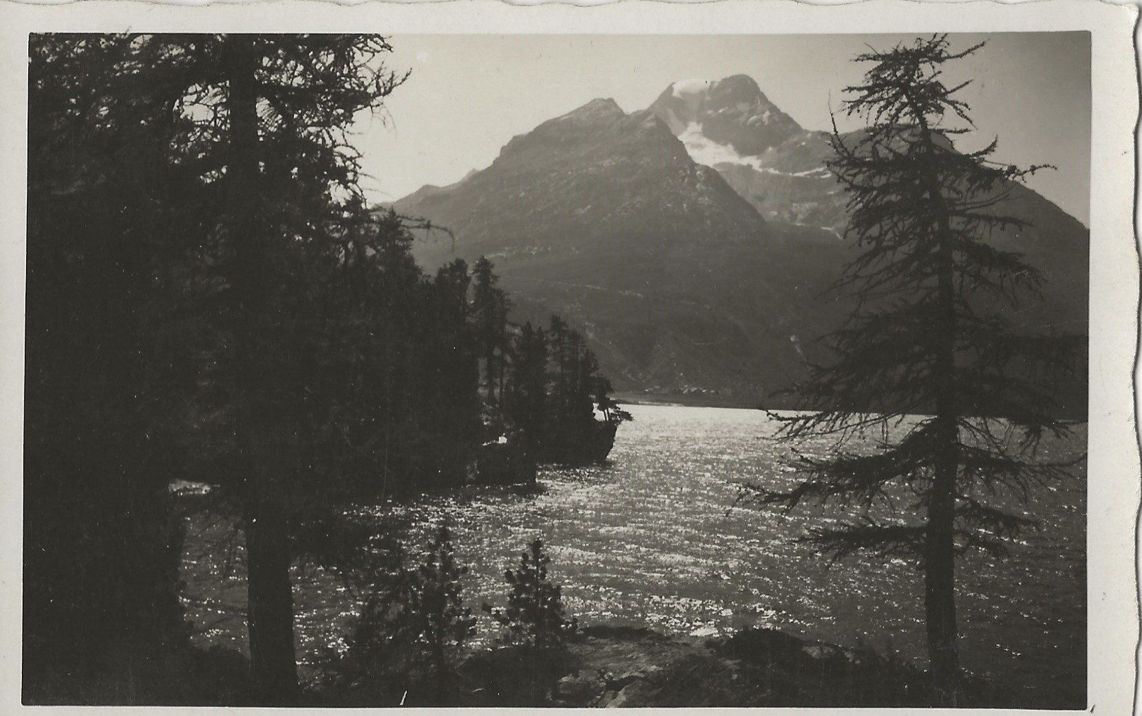 Cartoline postali: Meerkämper, Sils im Engadin, 1931 – Usato da Frauenfeld venduto da Merk52